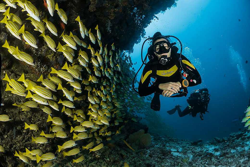 Beginner diver beside an instructor over the reef
