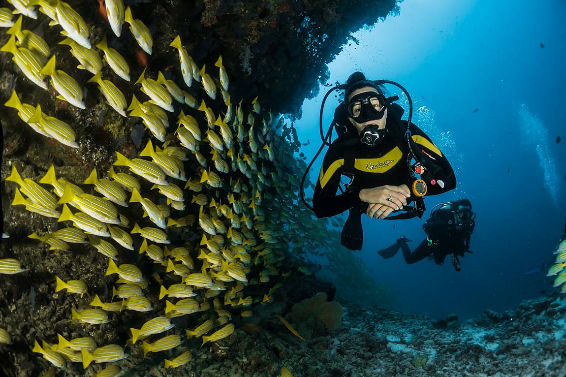 Diver on the reef